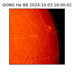 gong - 2024-10-03T16:00:02