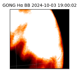 gong - 2024-10-03T19:00:02