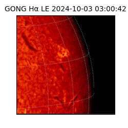 gong - 2024-10-03T03:00:42