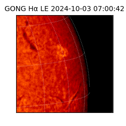 gong - 2024-10-03T07:00:42