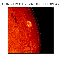 gong - 2024-10-03T11:09:42