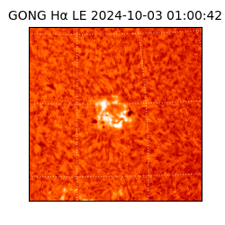 gong - 2024-10-03T01:00:42