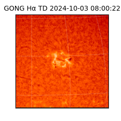 gong - 2024-10-03T08:00:22