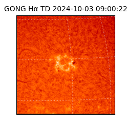 gong - 2024-10-03T09:00:22