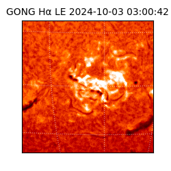 gong - 2024-10-03T03:00:42