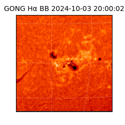 gong - 2024-10-03T20:00:02