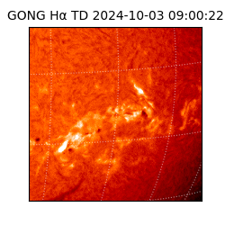 gong - 2024-10-03T09:00:22