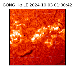 gong - 2024-10-03T01:00:42