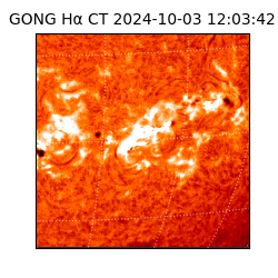 gong - 2024-10-03T12:03:42