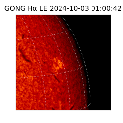 gong - 2024-10-03T01:00:42