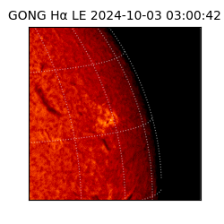 gong - 2024-10-03T03:00:42