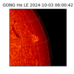 gong - 2024-10-03T06:00:42