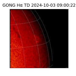 gong - 2024-10-03T09:00:22