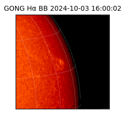 gong - 2024-10-03T16:00:02