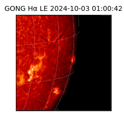 gong - 2024-10-03T01:00:42