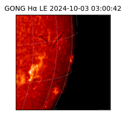 gong - 2024-10-03T03:00:42