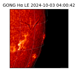 gong - 2024-10-03T04:00:42