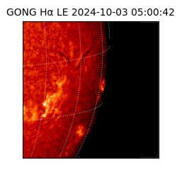 gong - 2024-10-03T05:00:42