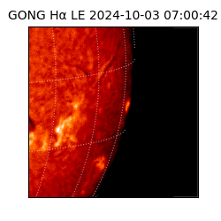 gong - 2024-10-03T07:00:42