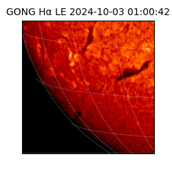 gong - 2024-10-03T01:00:42