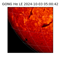 gong - 2024-10-03T05:00:42