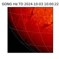 gong - 2024-10-03T10:00:22