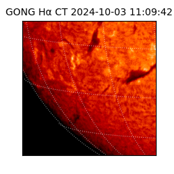 gong - 2024-10-03T11:09:42