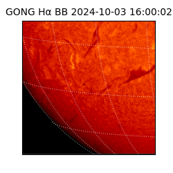 gong - 2024-10-03T16:00:02