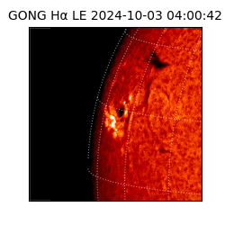 gong - 2024-10-03T04:00:42