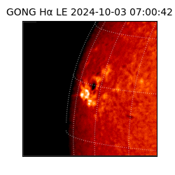 gong - 2024-10-03T07:00:42