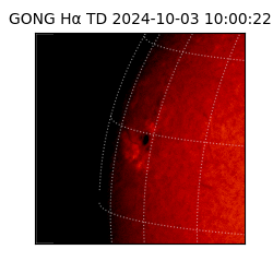 gong - 2024-10-03T10:00:22