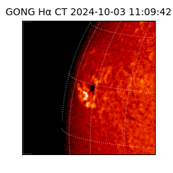 gong - 2024-10-03T11:09:42