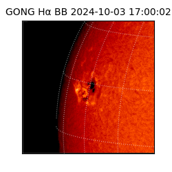 gong - 2024-10-03T17:00:02