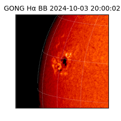 gong - 2024-10-03T20:00:02