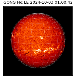 gong - 2024-10-03T01:00:42