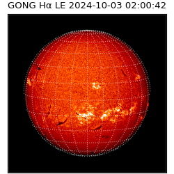 gong - 2024-10-03T02:00:42