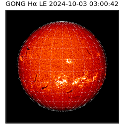 gong - 2024-10-03T03:00:42