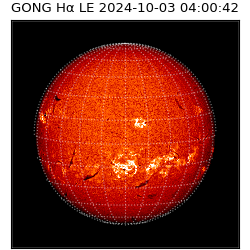 gong - 2024-10-03T04:00:42