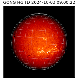 gong - 2024-10-03T09:00:22