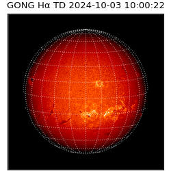 gong - 2024-10-03T10:00:22