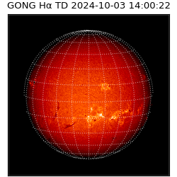 gong - 2024-10-03T14:00:22