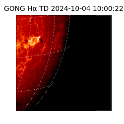 gong - 2024-10-04T10:00:22