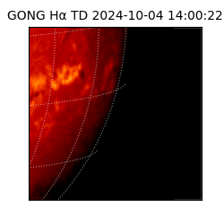 gong - 2024-10-04T14:00:22