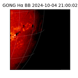 gong - 2024-10-04T21:00:02