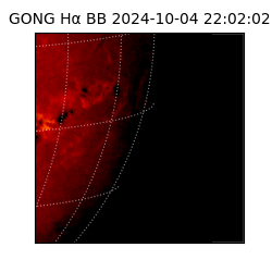 gong - 2024-10-04T22:02:02