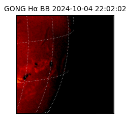 gong - 2024-10-04T22:02:02