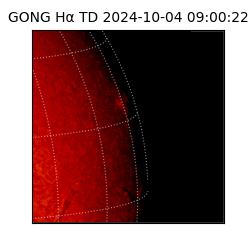 gong - 2024-10-04T09:00:22