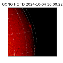 gong - 2024-10-04T10:00:22