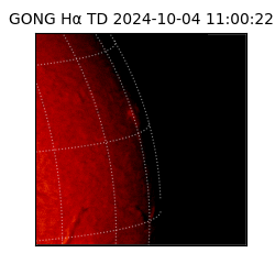 gong - 2024-10-04T11:00:22