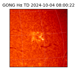 gong - 2024-10-04T08:00:22